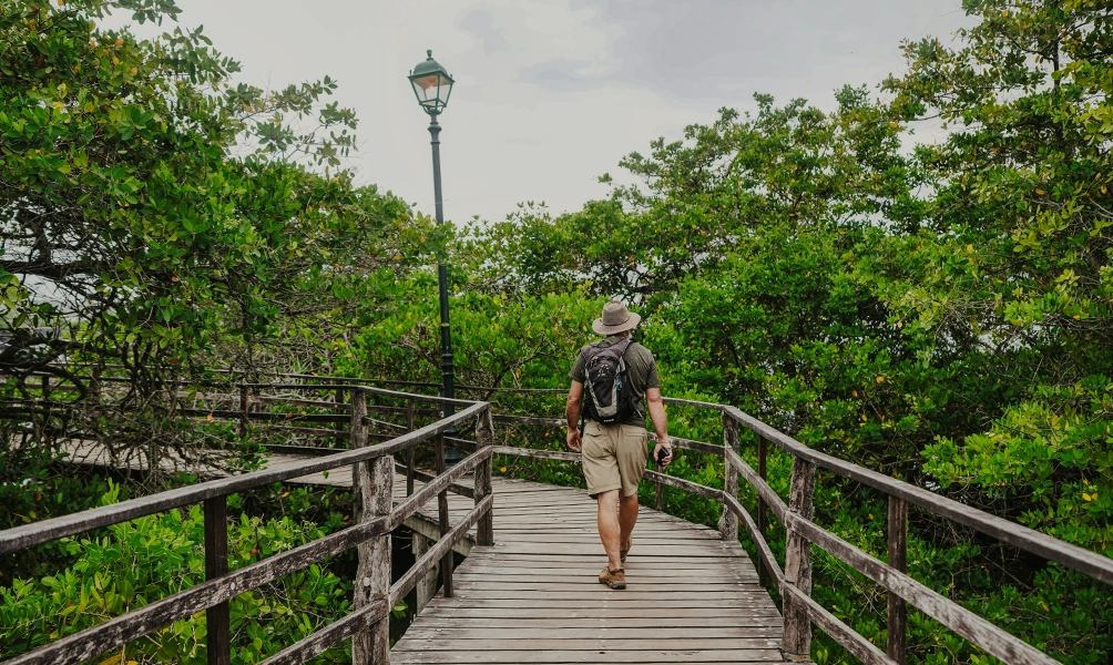 galapagos-saolaris-yacht-itineraries
