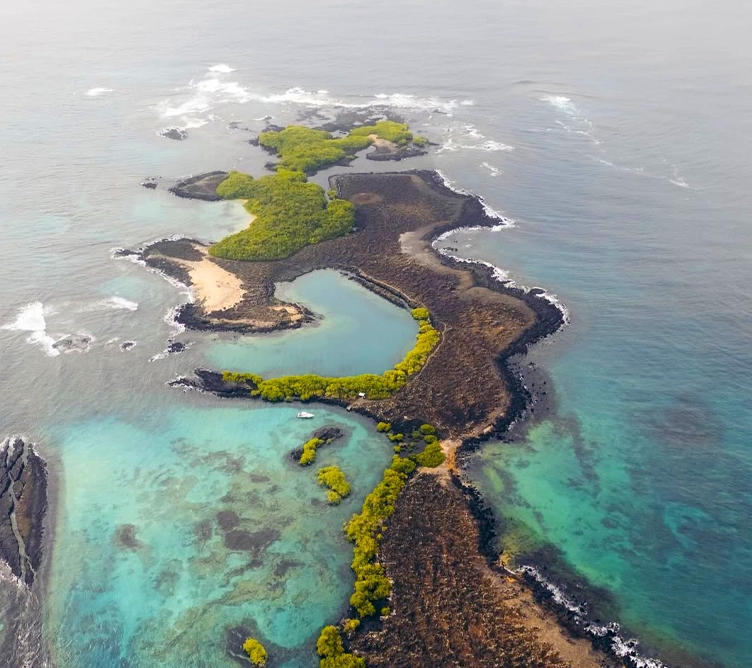 galapagos-unique-experience-cruise