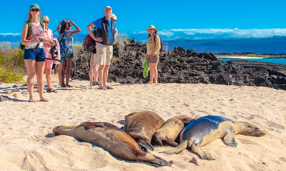 galapagos-land-experience